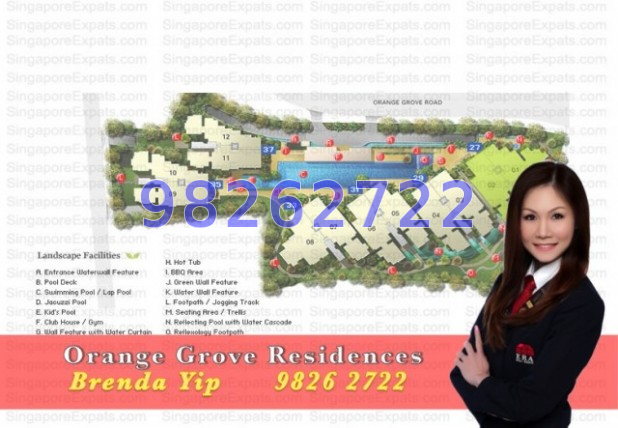 Orange Grove Residences (D10), Condominium #46069412